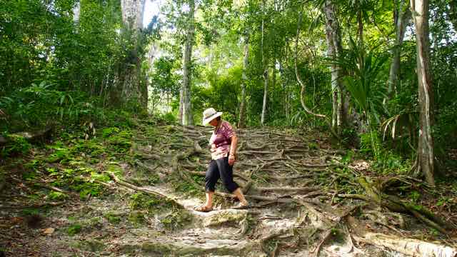 Tikal am Weg zu den Tempeln im Urwald