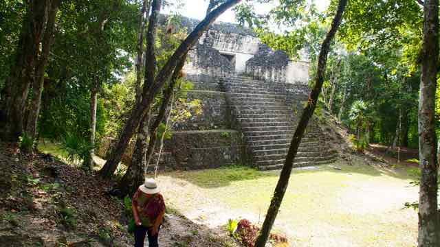 Tikal am Weg zu den Tempeln im Urwald