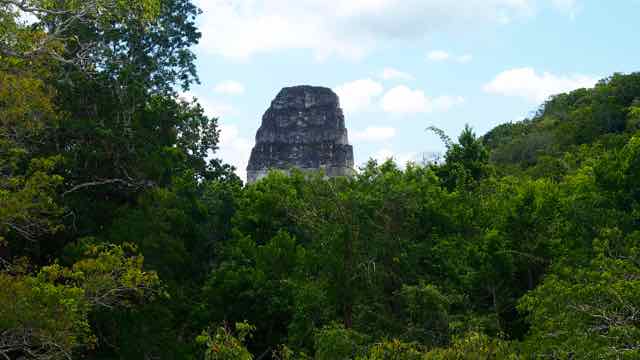 Tikal am Weg bei den Tempeln im Urwald