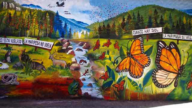 Mariposa der Naturpark der Monarchfalter