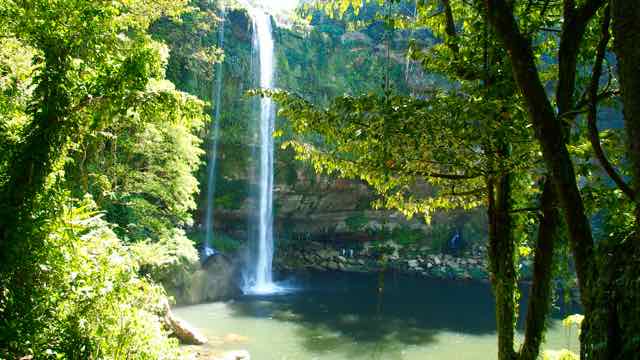 der Wasserfall Misol-Ha