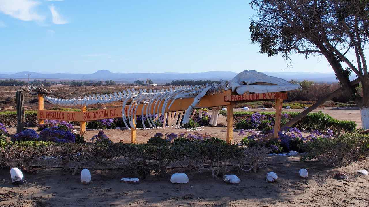 Campground in San Quintin