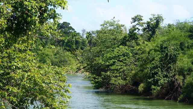 der Belize River