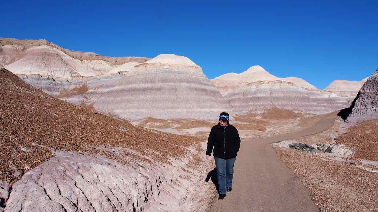 Im Petrified Forest NP.