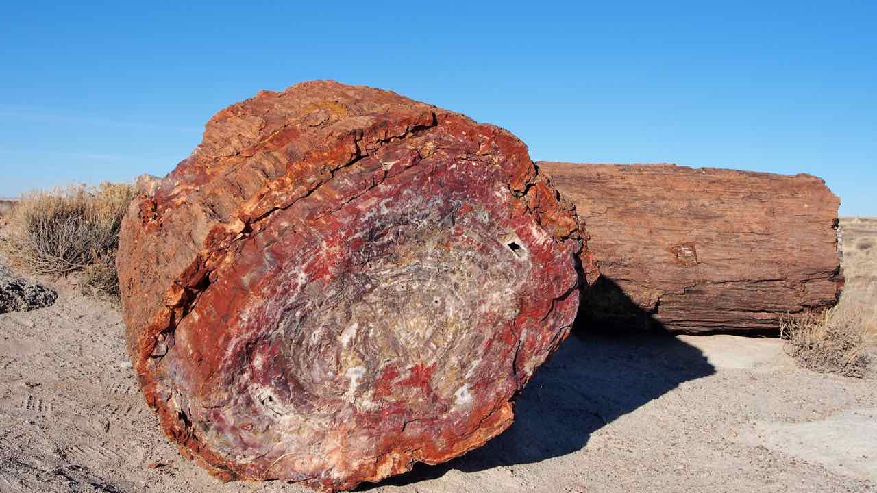 Im Petrified Forest NP.