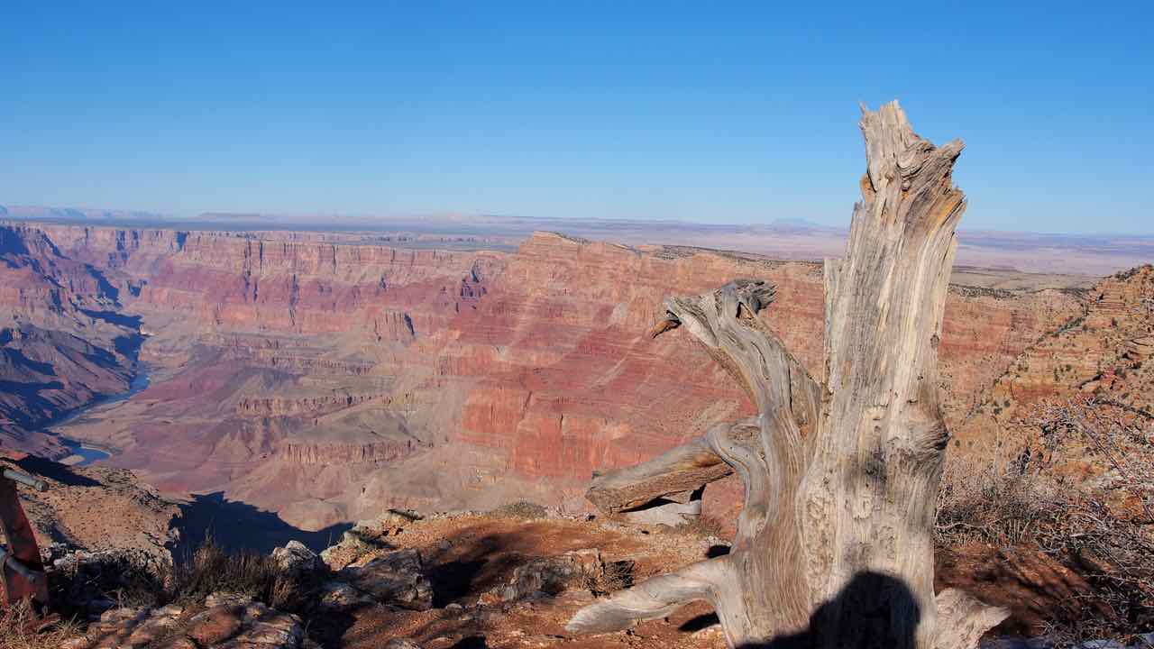 am Grand Canyon
