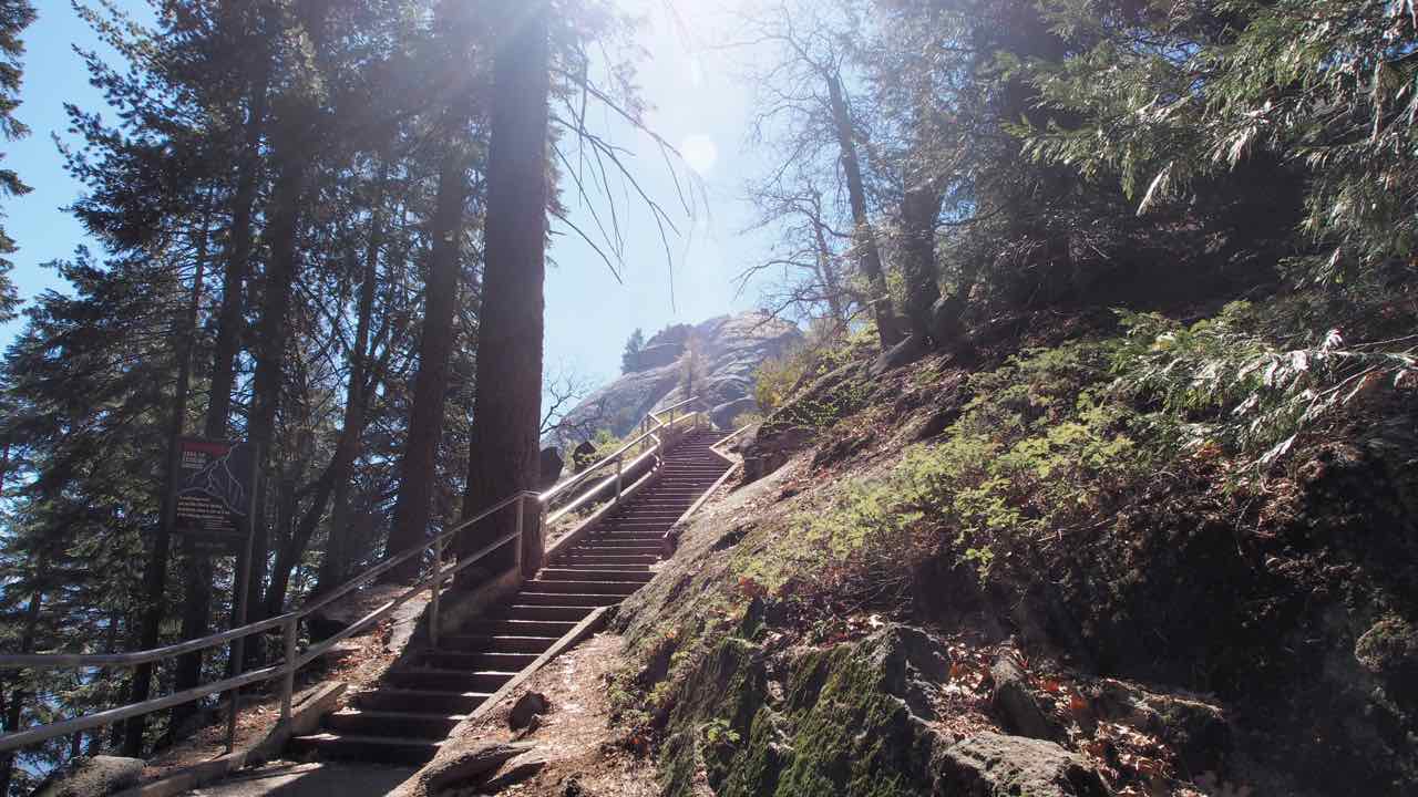 der Sequoia Nationalpark