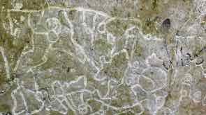 Petroglyphen am Weg nach oben